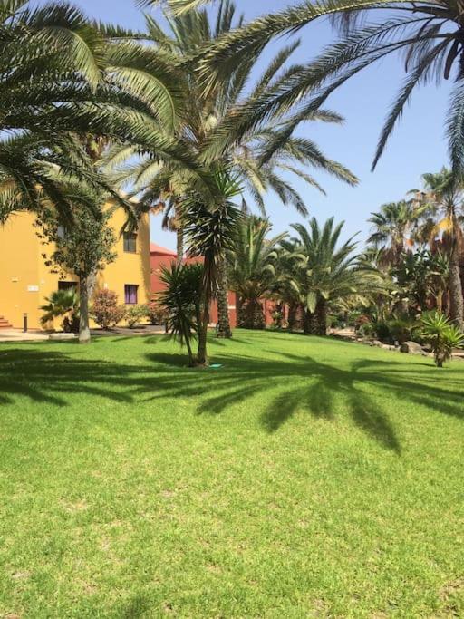 Corralejo Happy Place, Precioso Apartamento Con Piscina Buitenkant foto
