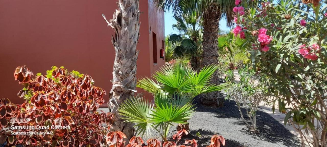 Corralejo Happy Place, Precioso Apartamento Con Piscina Buitenkant foto